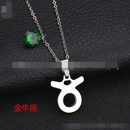 TitaniumStainless Steel Korea Geometric necklace  Aries NHHF0073Ariespicture2