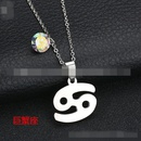 TitaniumStainless Steel Korea Geometric necklace  Aries NHHF0073Ariespicture4