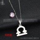 TitaniumStainless Steel Korea Geometric necklace  Aries NHHF0073Ariespicture7