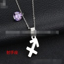 TitaniumStainless Steel Korea Geometric necklace  Aries NHHF0073Ariespicture9