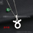 TitaniumStainless Steel Korea Geometric necklace  Aries NHHF0073Ariespicture26