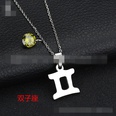 TitaniumStainless Steel Korea Geometric necklace  Aries NHHF0073Ariespicture27