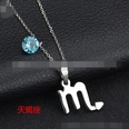 TitaniumStainless Steel Korea Geometric necklace  Aries NHHF0073Ariespicture32