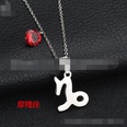 TitaniumStainless Steel Korea Geometric necklace  Aries NHHF0073Ariespicture34