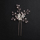Beads Fashion Flowers Hair accessories  Alloy NHHS0404Alloypicture2