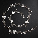 Plastic Fashion Flowers Hair accessories  Alloy NHHS0425Alloypicture1