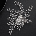 Imitated crystalCZ Fashion Flowers Hair accessories  Alloy NHHS0410Alloypicture3