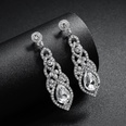 Alloy Fashion Flowers earring  Alloy NHHS0421Alloypicture4
