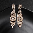 Alloy Fashion Geometric earring  Alloy NHHS0430Alloypicture5