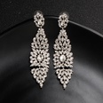 Alloy Fashion Geometric earring  Alloy NHHS0430Alloypicture6