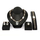 Alloy Fashion  The necklace  61174421 alloy NHXS161361174421alloypicture1