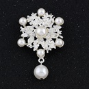 Alloy Fashion Flowers A brooch  Alloy Aa051  A NHDR2682AlloyAa051Apicture1