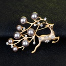 Alloy Fashion Animal A brooch  Dumb alloy AH065  A NHDR2710DumballoyAH065Apicture2