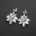 Alloy Fashion Geometric earring  Alloy NHHS0485Alloypicture6