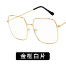 Alloy Fashion  glasses  Alloy ash NHKD0050Alloyashpicture8