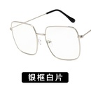 Alloy Fashion  glasses  Alloy ash NHKD0050Alloyashpicture9
