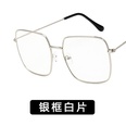 Alloy Fashion  glasses  Alloy ash NHKD0050Alloyashpicture34