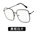 Alloy Fashion  glasses  Alloy ash NHKD0050Alloyashpicture35
