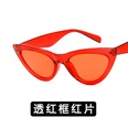 Plastic Fashion  glasses  Big red ash NHKD0103Bigredashpicture23