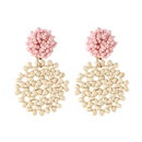 Alloy Simple  earring  yellow NHJQ10621yellowpicture4