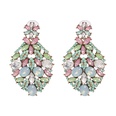 Imitated crystalCZ Fashion Flowers earring  Light color NHJJ5090Lightcolorpicture5