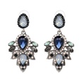 Imitated crystalCZ Fashion Flowers earring  Blue color NHJJ5093Bluecolorpicture7