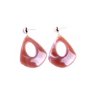 Alloy Fashion Geometric earring  Brown pair NHIM1268Brownpairpicture8