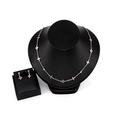 Alloy Bohemia  necklace  61172497 alloy NHXS167361172497alloypicture3