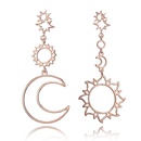 Alloy Simple Geometric earring  Alloy NHGY2390Alloypicture1