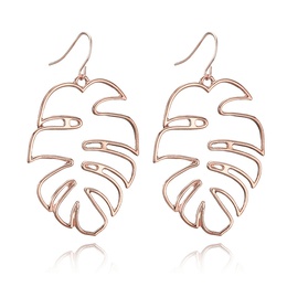 Alloy Simple Geometric earring  Alloy NHGY2417Alloypicture1