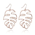 Alloy Simple Geometric earring  Alloy NHGY2417Alloypicture5