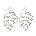 Alloy Simple Geometric earring  Alloy NHGY2417Alloypicture6