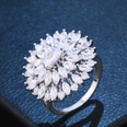 Copper Fashion Geometric Ring  Alloy  Fine Jewelry NHAS0422Alloypicture16