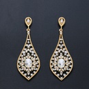 Imitated crystalCZ Fashion  earring  Alloy  Fashion Jewelry NHAS0473Alloypicture1