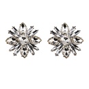 Alloy Fashion Flowers earring  white  Fashion Jewelry NHJQ11263whitepicture1