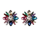 Alloy Fashion Flowers earring  white  Fashion Jewelry NHJQ11263whitepicture2