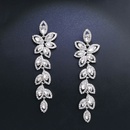 Imitated crystalCZ Fashion Tassel earring  Alloy  Fashion Jewelry NHAS0628Alloypicture2