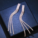 Copper Fashion Tassel earring  Rose alloy  Fine Jewelry NHAS0630Rosealloypicture15