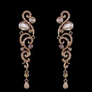 Alloy Fashion Tassel earring  black  Fashion Jewelry NHAS0632blackpicture4