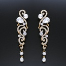 Alloy Fashion Tassel earring  black  Fashion Jewelry NHAS0632blackpicture5