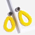 Alloy Korea bolso cesta earring  white  Fashion Jewelry NHAS0463whitepicture22