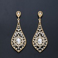 Imitated crystalCZ Fashion  earring  Alloy  Fashion Jewelry NHAS0473Alloypicture4