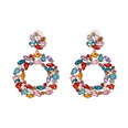 Alloy Fashion Geometric earring  white  Fashion Jewelry NHJJ5549whitepicture14