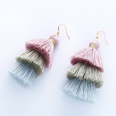 Mode neue bhmische ethnische Stil Quaste Ohrringe Farbverlauf Plsch Ohrringe Schmuck Direkt verkauf erk04picture21
