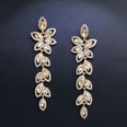 Imitated crystalCZ Fashion Tassel earring  Alloy  Fashion Jewelry NHAS0628Alloypicture9