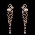 Alloy Fashion Tassel earring  black  Fashion Jewelry NHAS0632blackpicture17