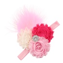 Cloth Fashion Flowers Hair accessories  1  Fashion Jewelry NHWO06691picture9