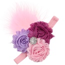 Cloth Fashion Flowers Hair accessories  1  Fashion Jewelry NHWO06691picture14
