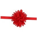 Cloth Fashion Flowers Hair accessories  red  Fashion Jewelry NHWO0677redpicture1