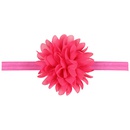 Cloth Fashion Flowers Hair accessories  red  Fashion Jewelry NHWO0677redpicture6